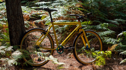 Cannondale M900 bike from 1996