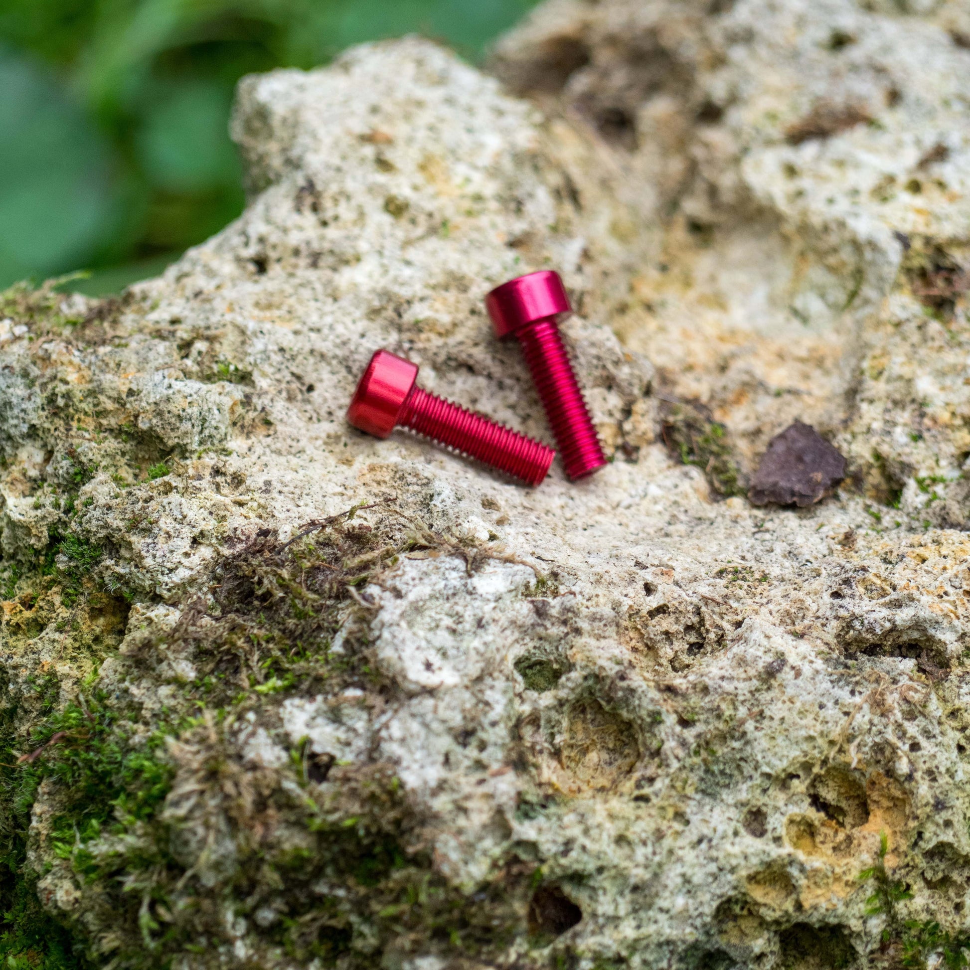 Aluminium Bottle Cage bolts Set