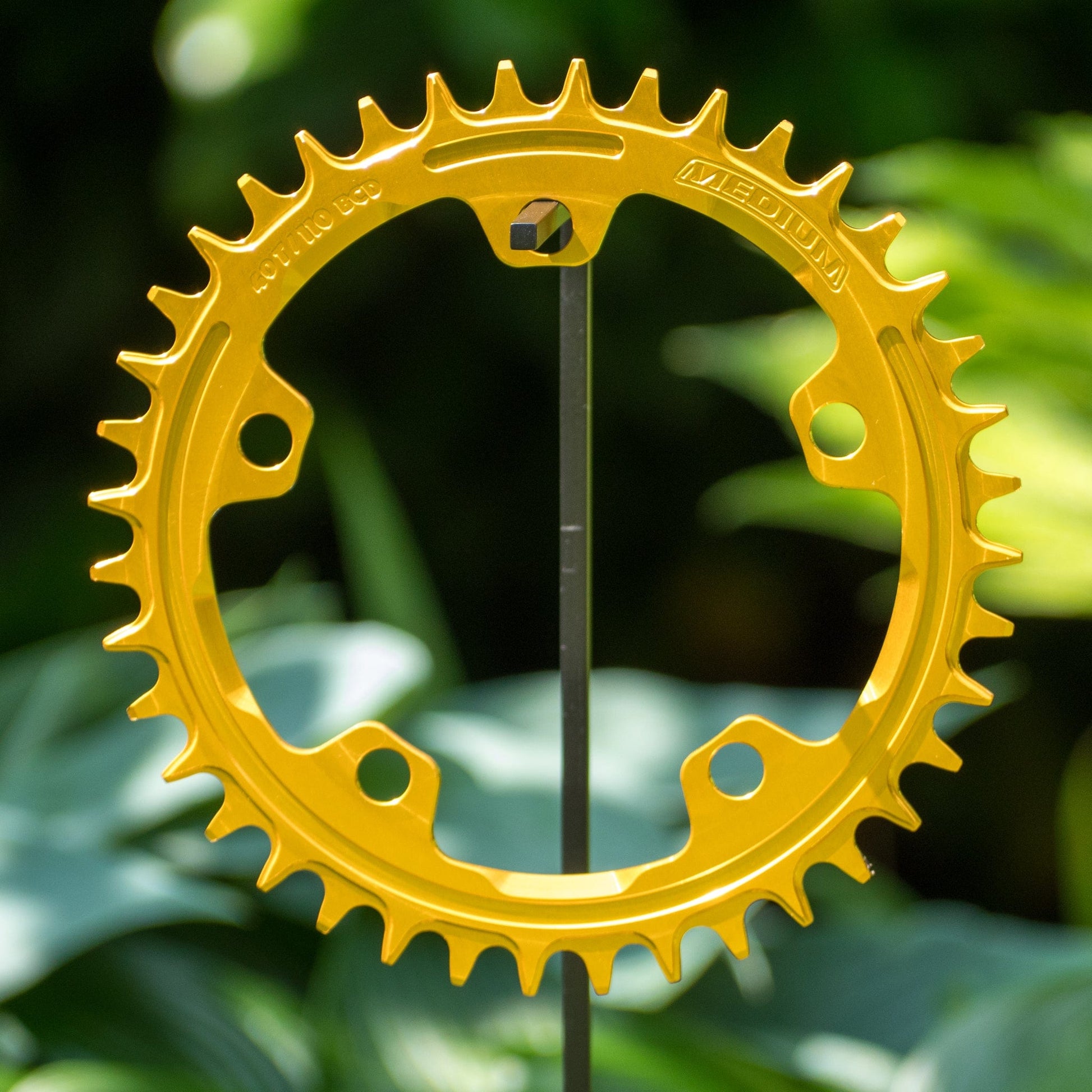 Narrow Wide 110 BCD //  5-Bolt Chainring