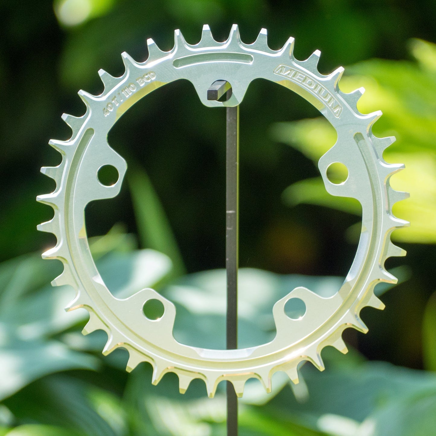 Narrow Wide 110 BCD // 5-Bolt Chainring