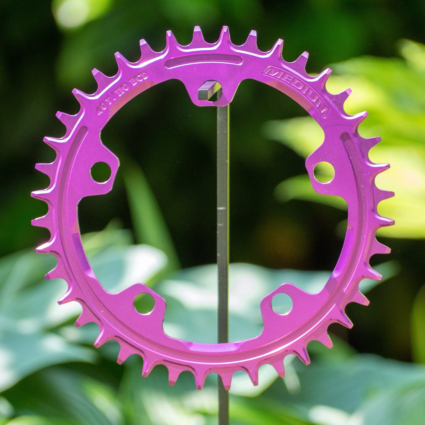 Narrow Wide 110 BCD // 5-Bolt Chainring