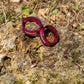 1-1/8" Headset Spacers — Pack of 2