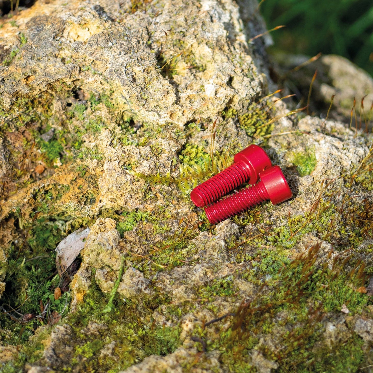 Aluminium Bottle Cage bolts Set