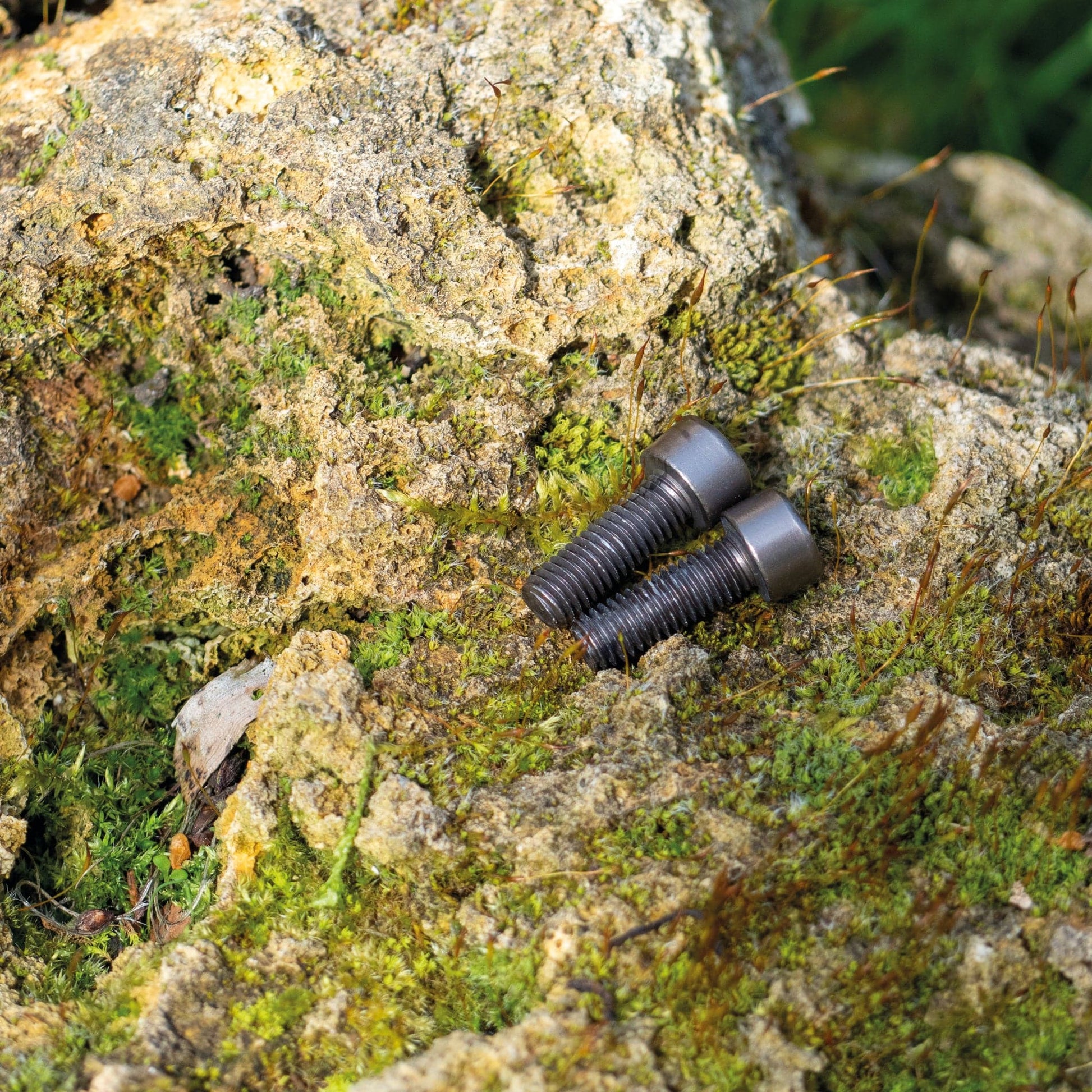 Aluminium Bottle Cage bolts Set