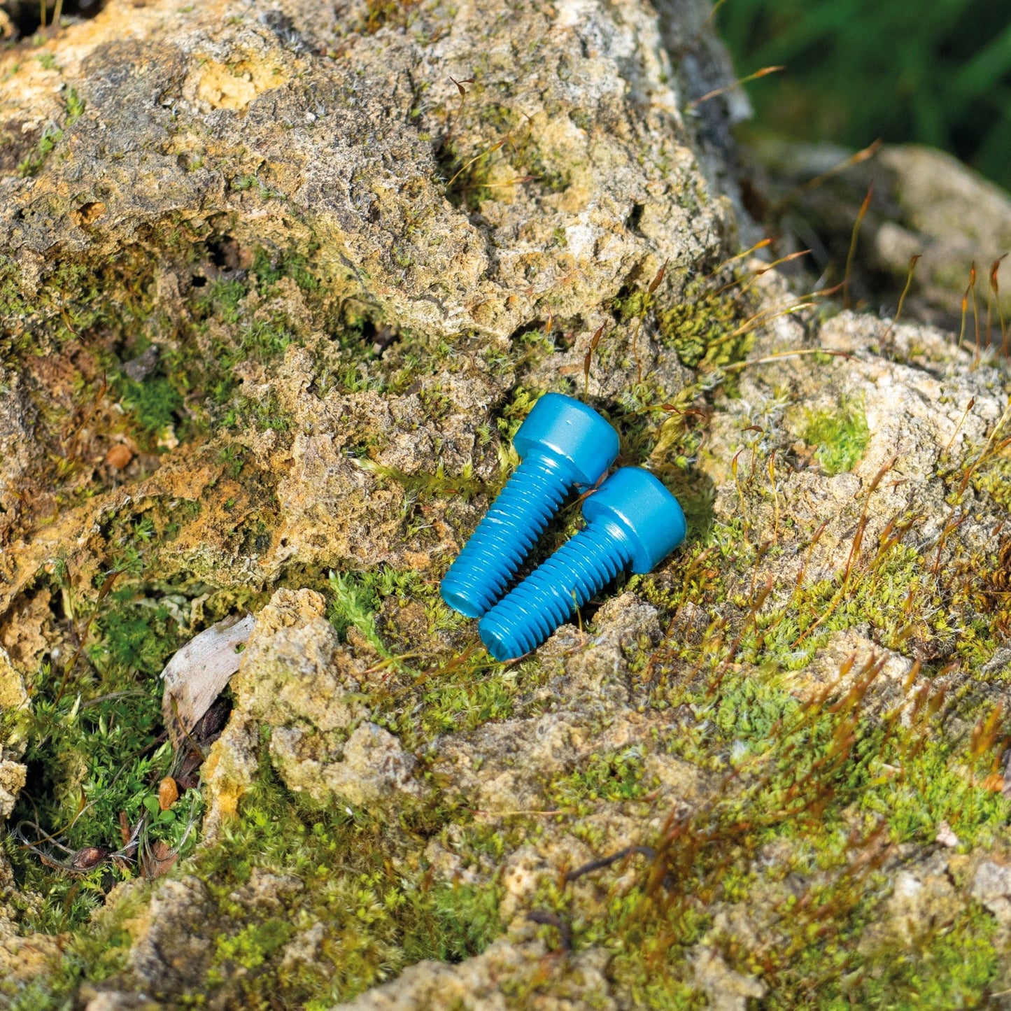 Aluminium Bottle Cage bolts Set