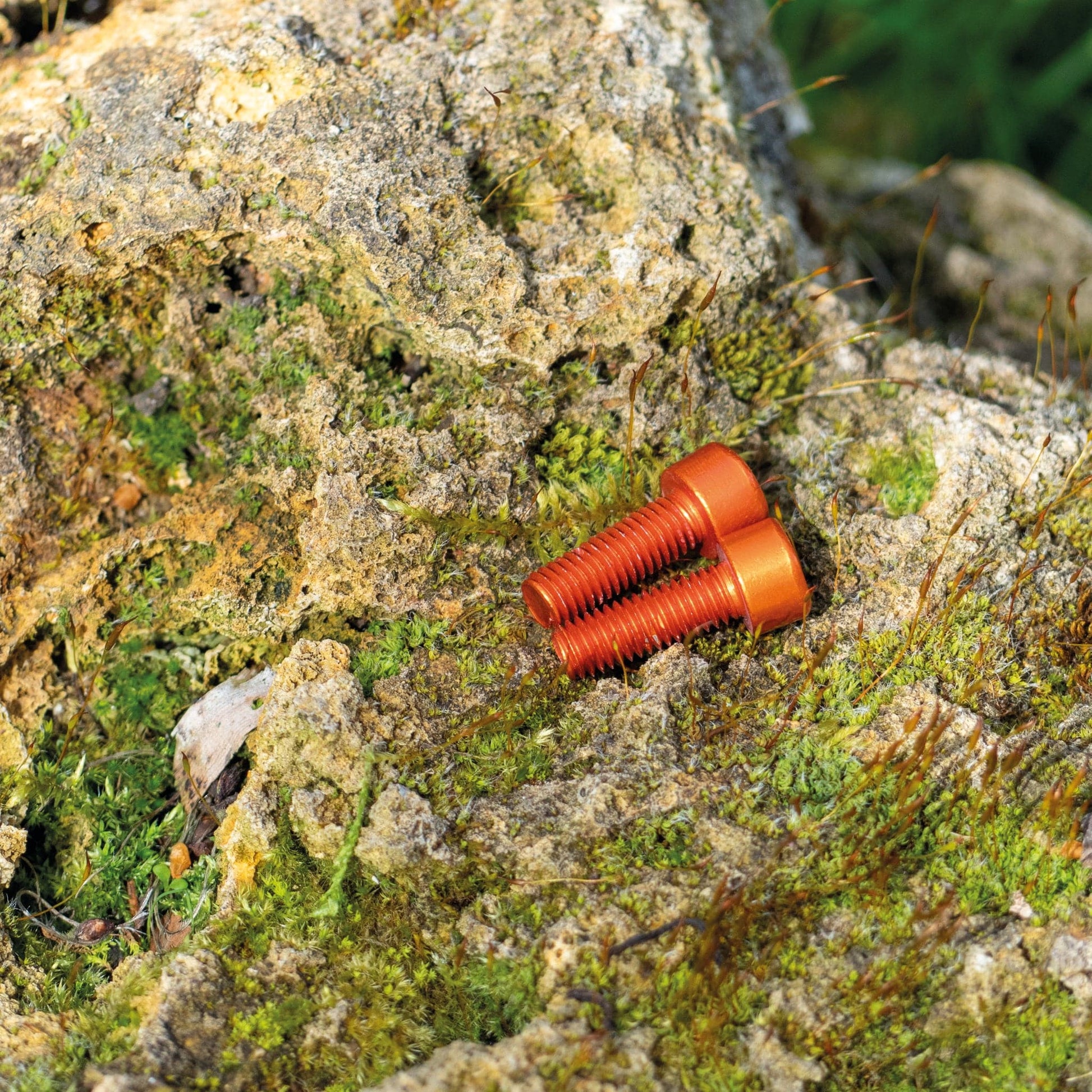 Aluminium Bottle Cage bolts Set