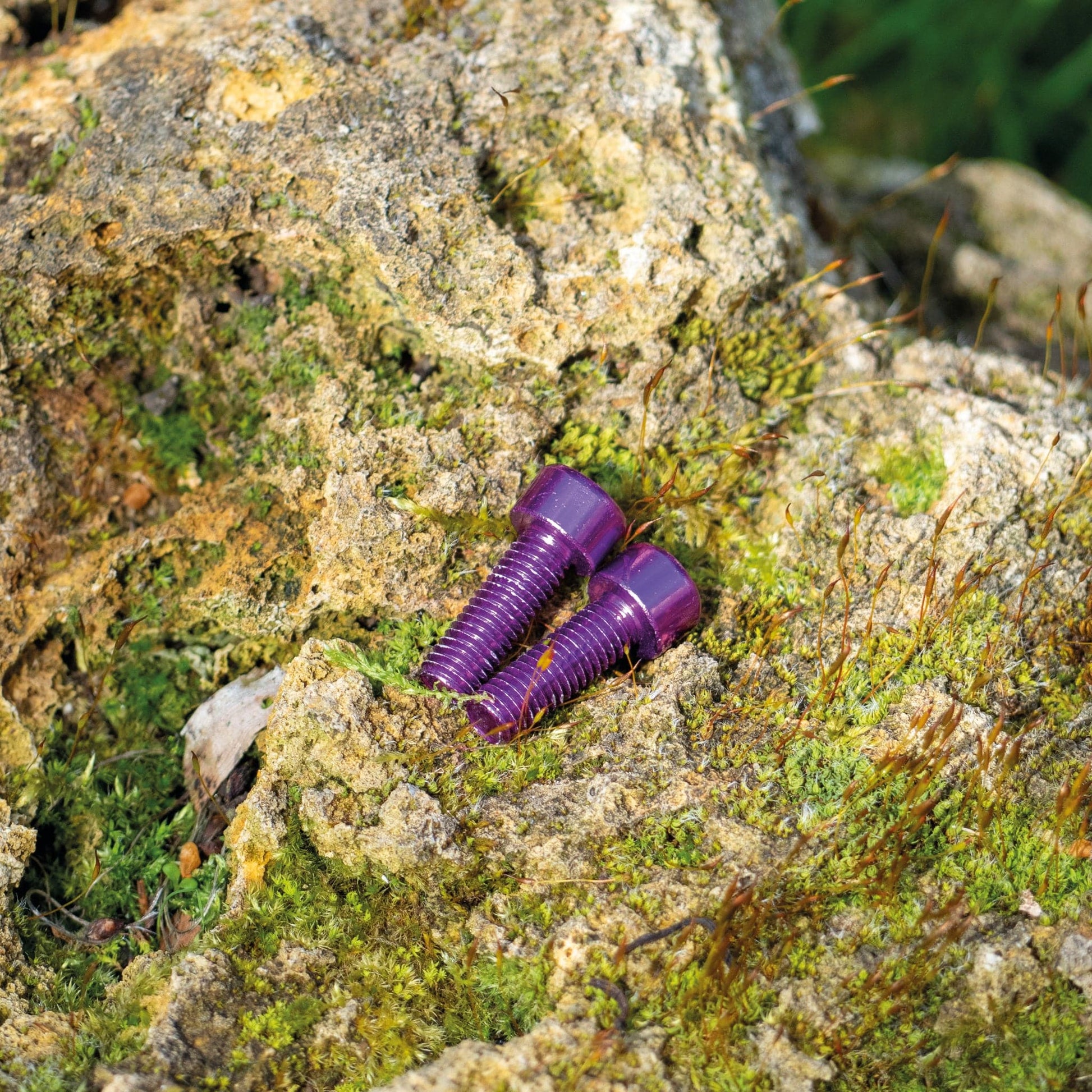 Aluminium Bottle Cage bolts Set