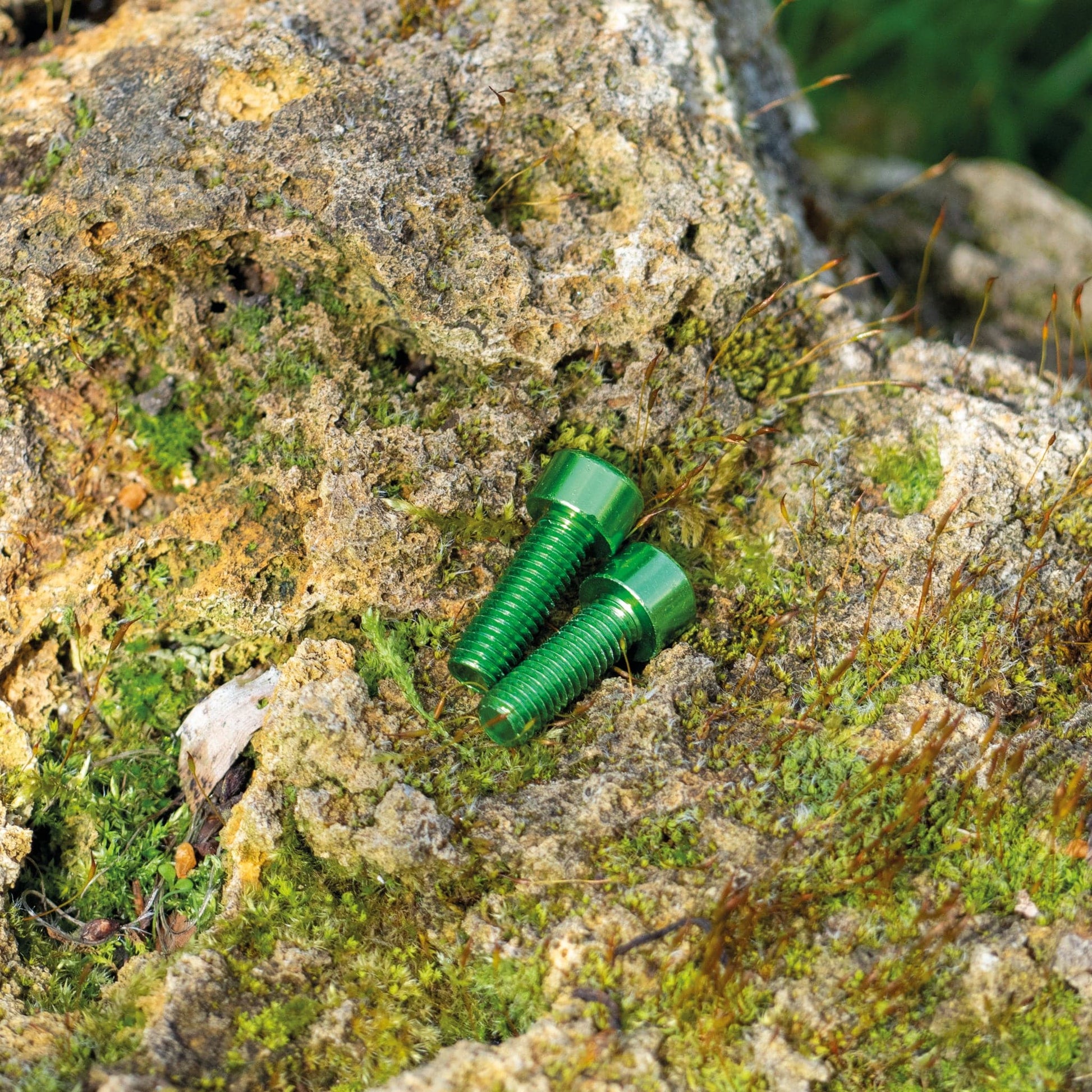 Aluminium Bottle Cage bolts Set