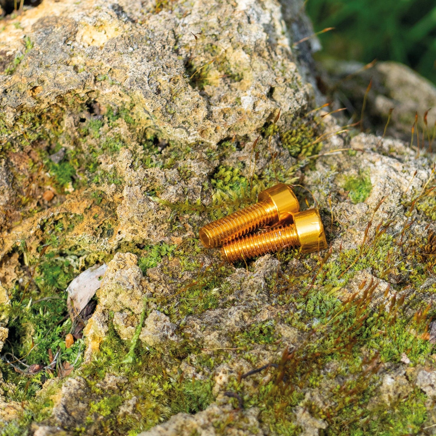 Aluminium Bottle Cage bolts Set