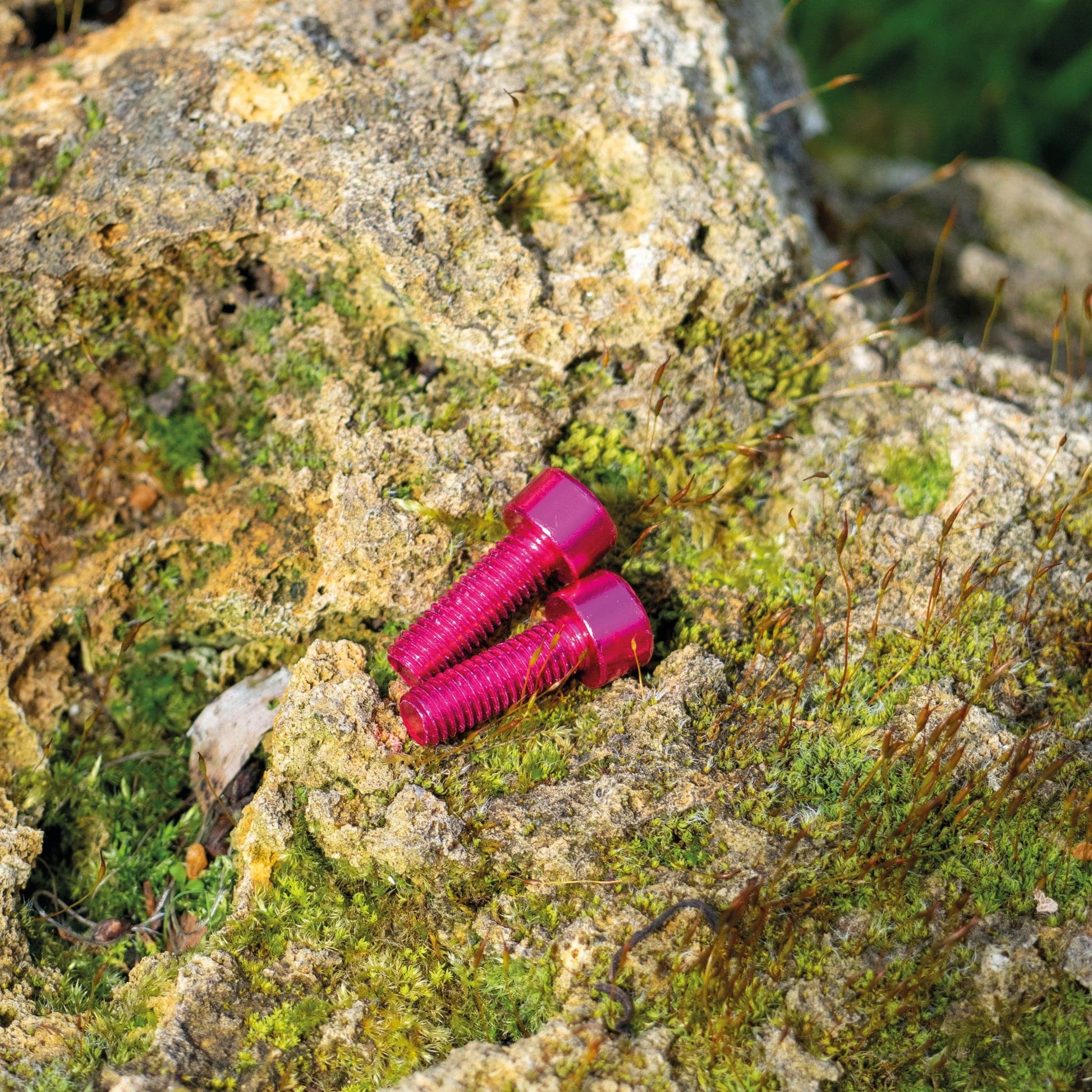 Aluminium Bottle Cage bolts Set