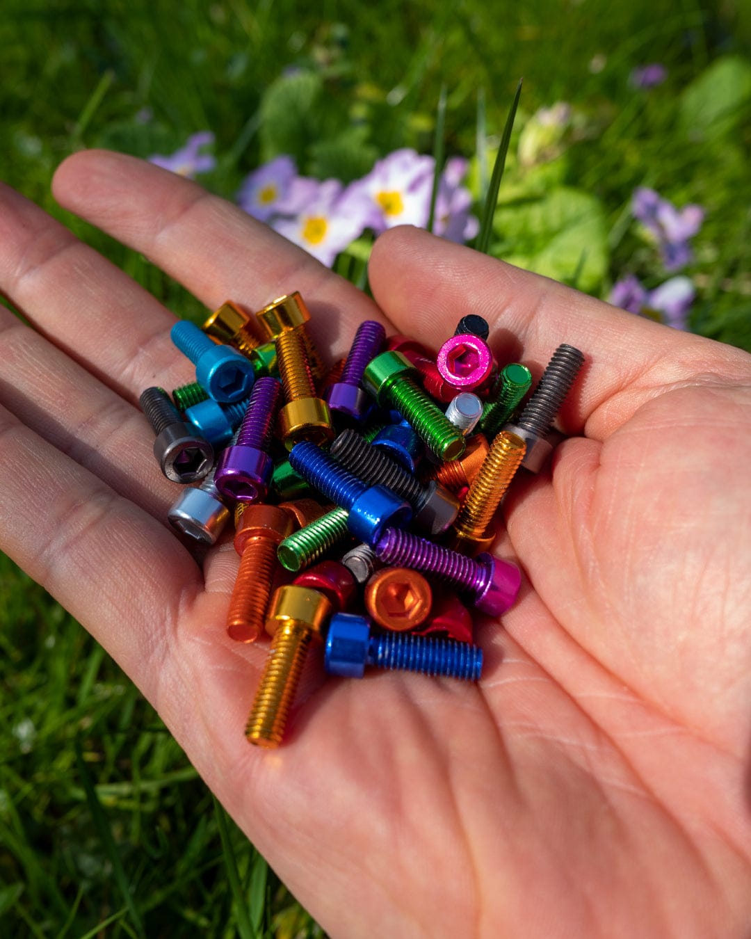 Aluminium Bottle Cage bolts Set