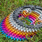 Narrow Wide 110 BCD //  5-Bolt Chainring