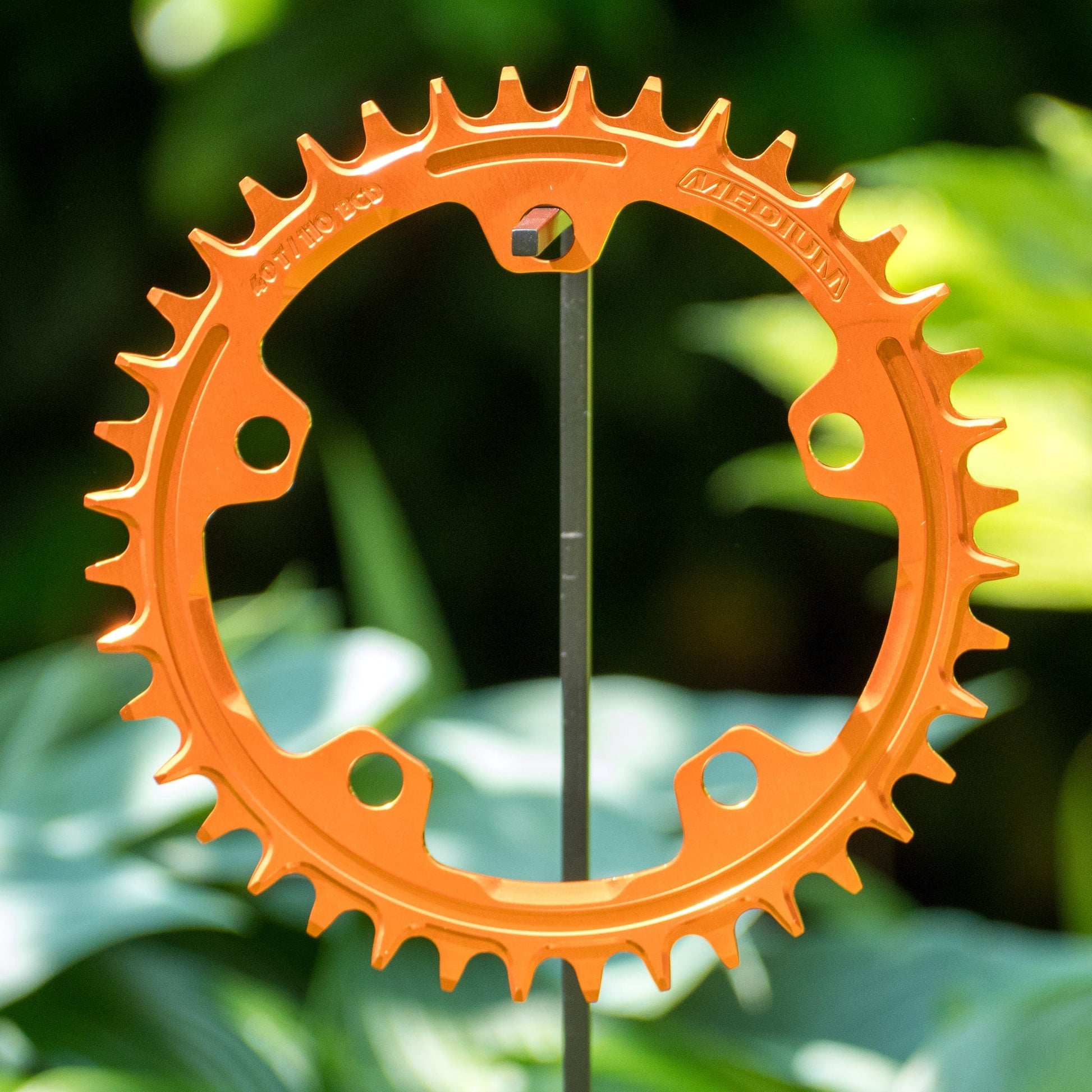 Narrow Wide 110 BCD //  5-Bolt Chainring