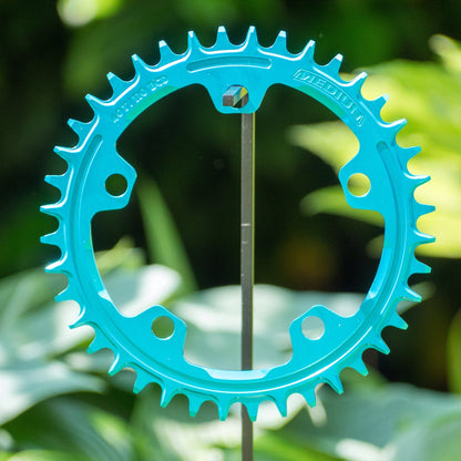 Narrow Wide 110 BCD //  5-Bolt Chainring