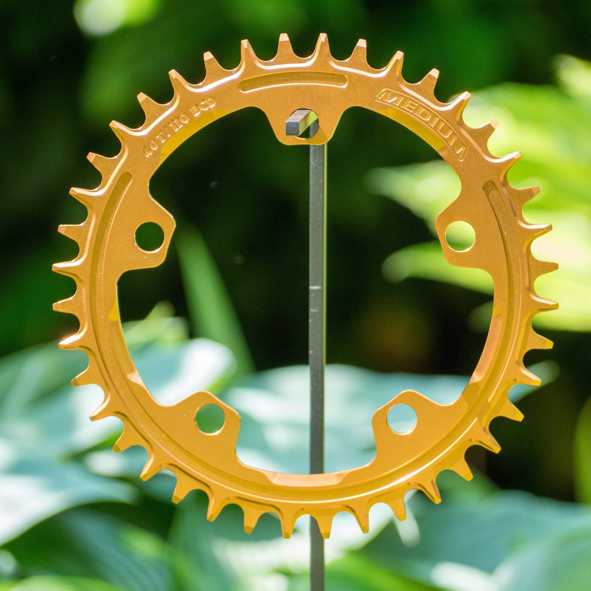 Narrow Wide 110 BCD //  5-Bolt Chainring