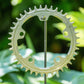 Narrow Wide 110 BCD //  5-Bolt Chainring