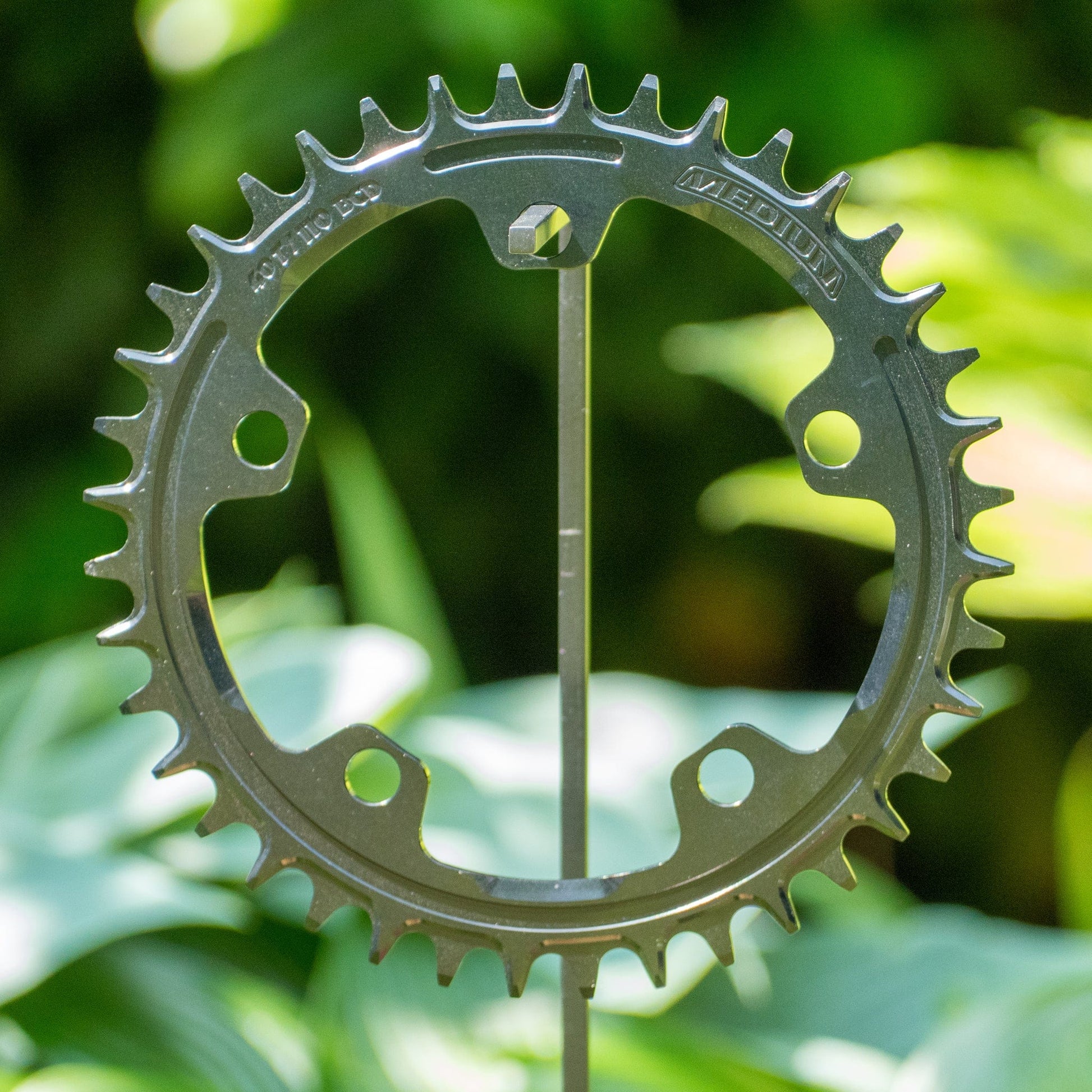 Narrow Wide 110 BCD //  5-Bolt Chainring
