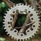 Narrow Wide 94 + 110 BCD // 5-Bolt "Schrödinger" Chainring