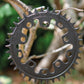 Narrow Wide 94 + 110 BCD // 5-Bolt "Schrödinger" Chainring