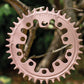 Narrow Wide 94 + 110 BCD // 5-Bolt "Schrödinger" Chainring