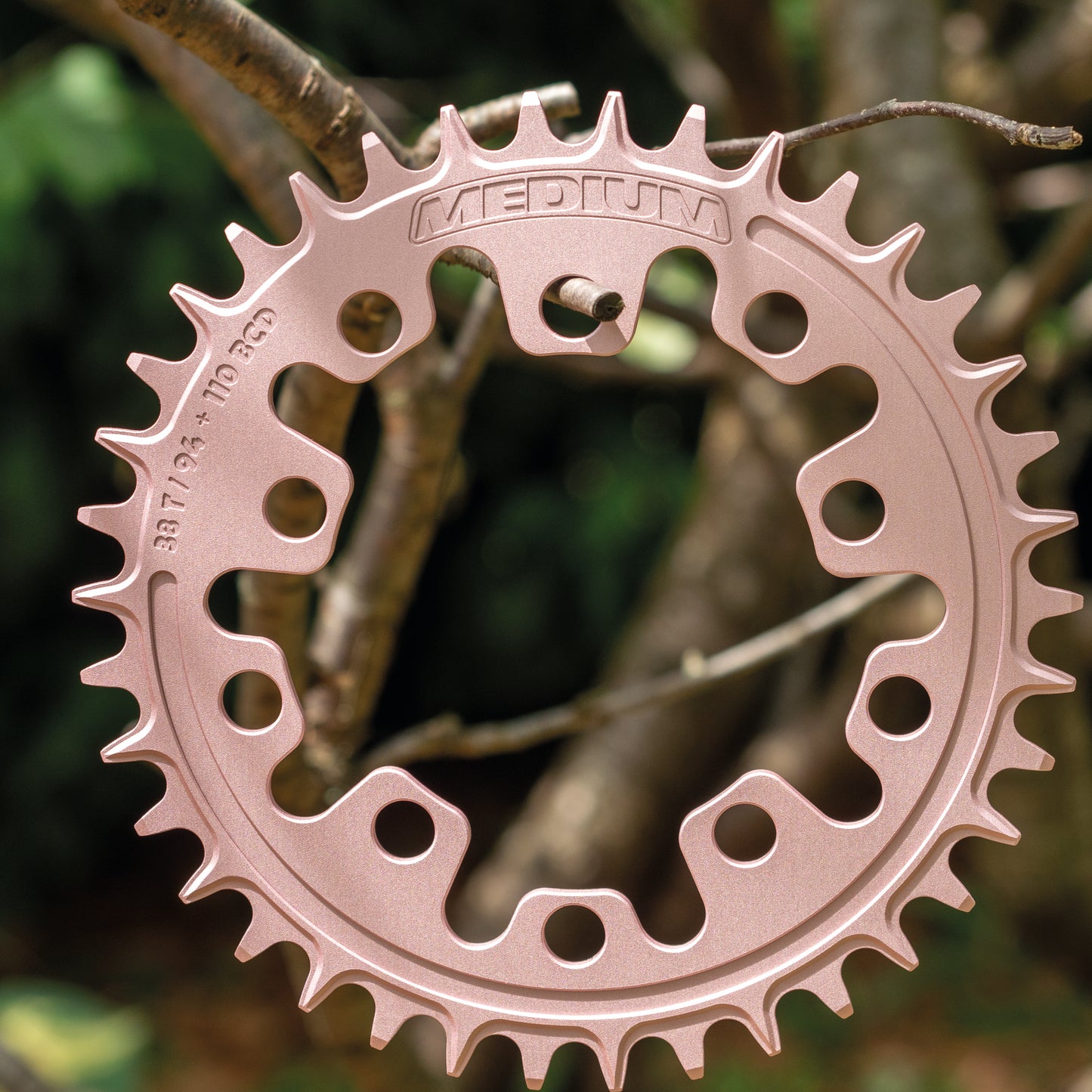 Narrow Wide 94 + 110 BCD // 5-Bolt "Schrödinger" Chainring