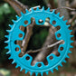 Narrow Wide 94 + 110 BCD // 5-Bolt "Schrödinger" Chainring