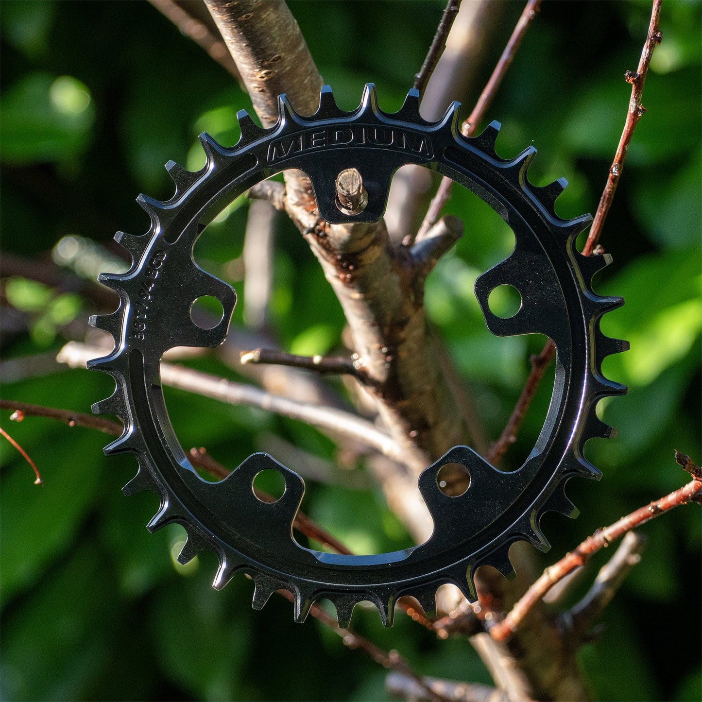 Narrow Wide 94 BCD // 5-Bolt Chainring