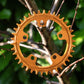 Narrow Wide 94 BCD // 5-Bolt Chainring